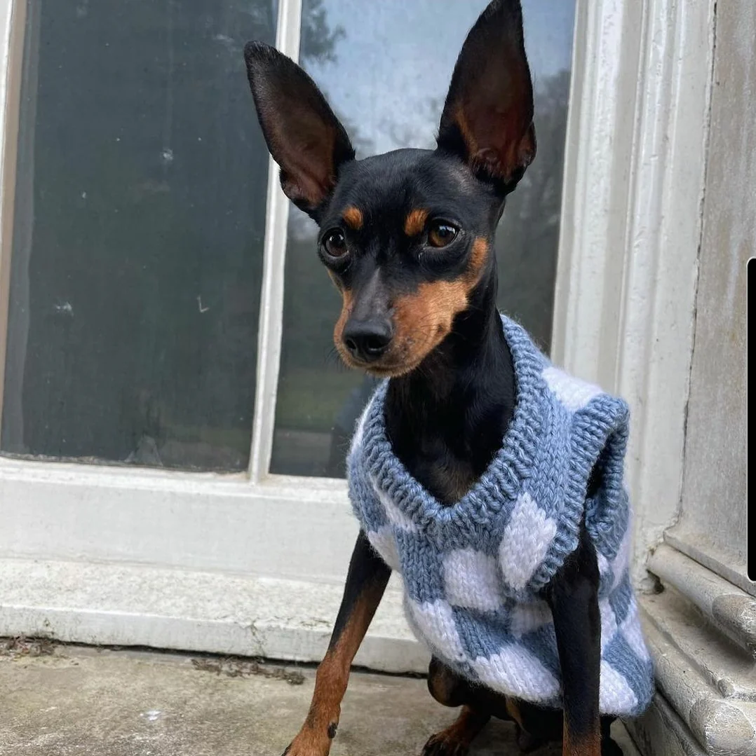 Checkered Knit Vest For Pets - Image 3