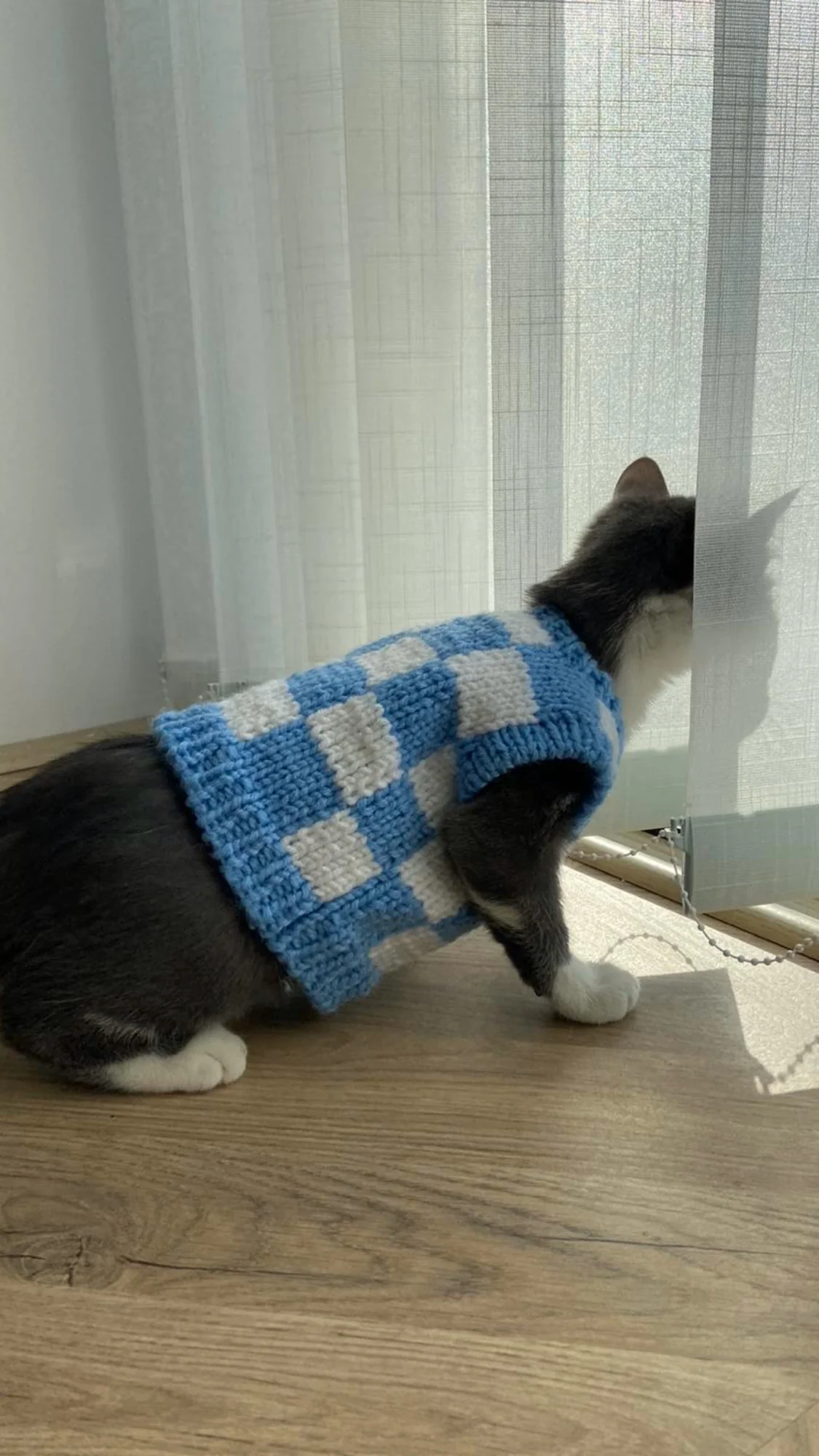 Checkered Knit Vest For Pets - Image 4